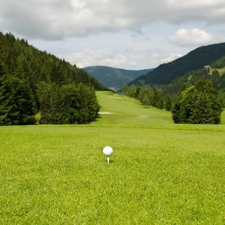 Hubertushof Beim Roemerbad 3*