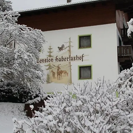 Hubertushof Beim Roemerbad Guest house 3*