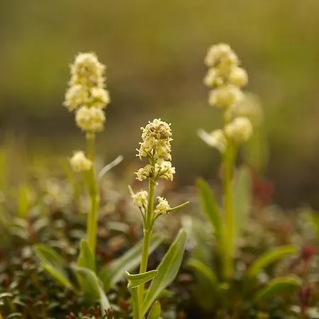 Hubertushof Beim Roemerbad Guest house