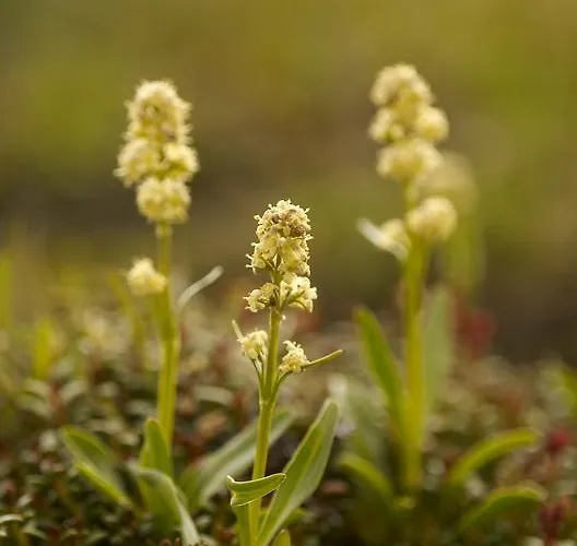 Hubertushof Beim Roemerbad Pensjonat